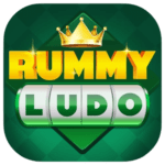 Rummy Ludo App