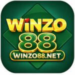 WinZO 88 APK